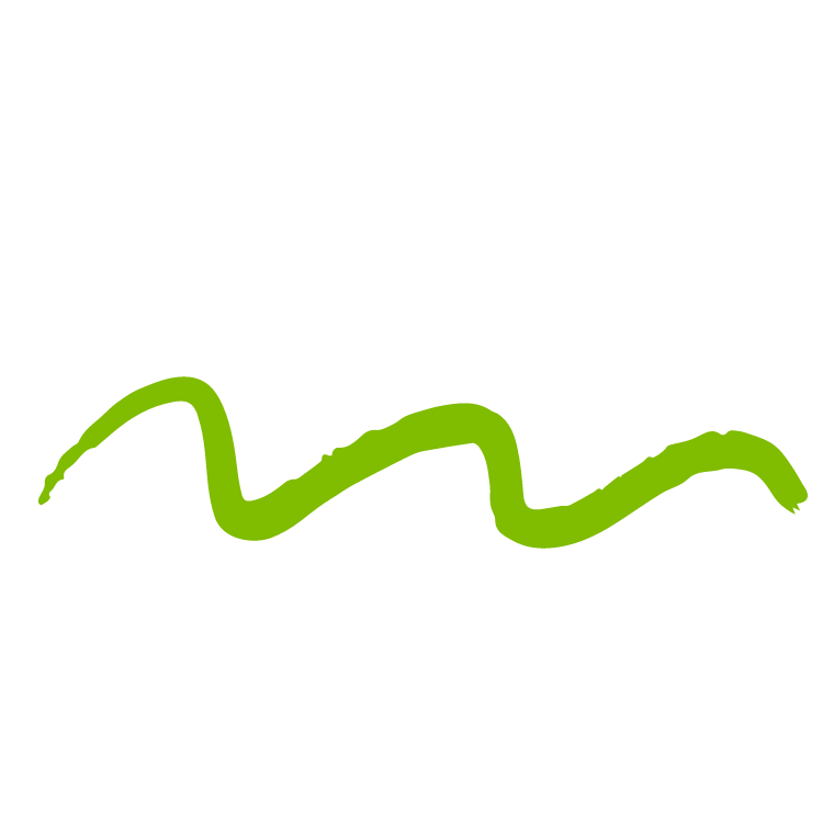 green squiggle graphic